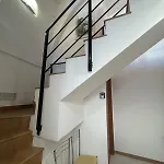 Ridola 3*